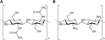 Relevance and Recent Developments of Chitosan in Peripheral Nerve Surgery